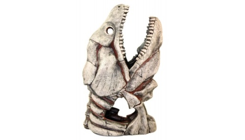 Детальная картинка 905 Грот DEKSI Скелет рыбы  27х17х40см