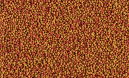 Детальная картинка Корм Tetra Cichlid Colour Pellets 500 мл, шарики для усиления  окраски красных, оранжевых и желтых цветов фото 4