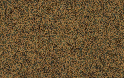 Детальная картинка Корм Tetra TetraPRO Algae Multi-Crisps 10 л, чипсы премиум для всех видов тропических рыб, со спирулиной фото 3