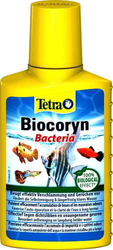 Детальная картинка Tetra  Средство для воды  Biocoryn Bacteria 100 мл_для разложения биологических загрязнений в аквари фото 2