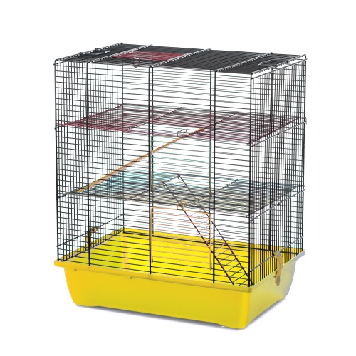 Детальная картинка Клетка InterZoo  G-045 GINO II COLORI (420х290х490мм), для грызунов, прут цветной фото 3