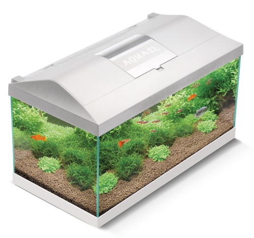 Детальная картинка Аквариум AQUAEL LEDDY SET PLUS 60 DAY&NIGHT 2.0 белый (61х31х36см) 54л, с оборудованием: ASAP 300/FAN FILTER 1, PLATINIUM  50 W, LEDDY TUBE 7Вт SUNNY D&N 2.0 - 1 шт. NEW (замена 122730) фото 13