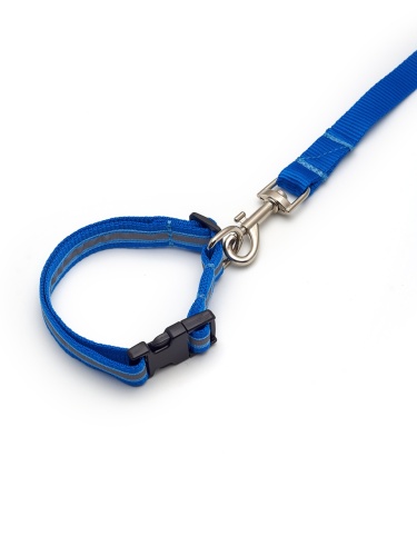 Детальная картинка Ошейник c поводком RichPet Light Dog 20 мм (поводок длина: 1,5м, обхват шеи: 32-50см), синий