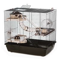 Картинка анонса Клетка InterZoo  G-180 HOMER + PL (580х380х550мм), для грызунов