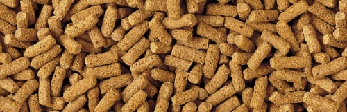 Детальная картинка Корм Tetra Pond Wheatgerm Sticks 10 л, палочки для кормления прудовых рыб при температурах ниже 10 градусов фото 3