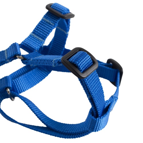 Детальная картинка Шлейка быстросъемная с поводком RichPet Standart 15мм (длина повод. 170см, обхват шеи:40-50см, обхват груди:46-58см) фото 2