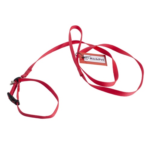 Детальная картинка Ошейник с поводком RichPet Standart 15мм (поводок длина 170см, обхват шеи:25-40см), красный