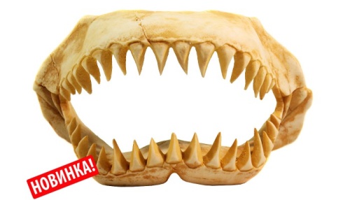 Детальная картинка 1003 Грот DEKSI Челюсти динозавра  33х22х14см