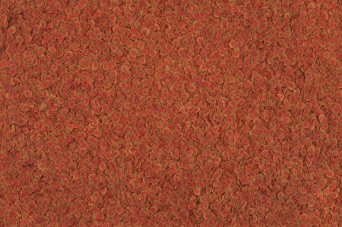 Детальная картинка Корм Tetra TetraPRO Colour Multi-Crisps 500 мл, чипсы премиум для усиления окраски всех видов тропических рыб фото 4