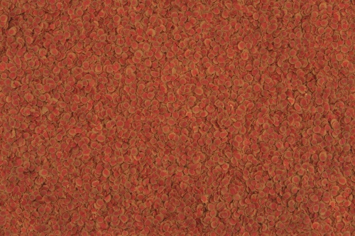Детальная картинка Корм Tetra TetraPRO Colour Multi-Crisps 10 л, чипсы премиум для усиления окраски всех видов тропических рыб фото 2