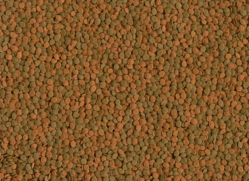 Детальная картинка Корм Tetra Wafer Mini Mix 100 мл, смесь пластинок для мелких донных рыб и  ракообразных, с креветкой и спирулиной фото 4