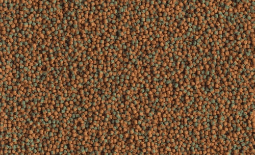 Детальная картинка Корм Tetra Cichlid Algae 500 мл, шарики для цихлид, со спирулиной фото 4