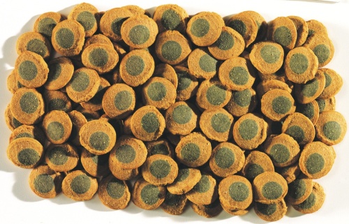 Детальная картинка Корм Tetra Pleco Spirulina Wafers 3,6 л, пластинки для травоядных донных рыб, со спирулиной фото 3