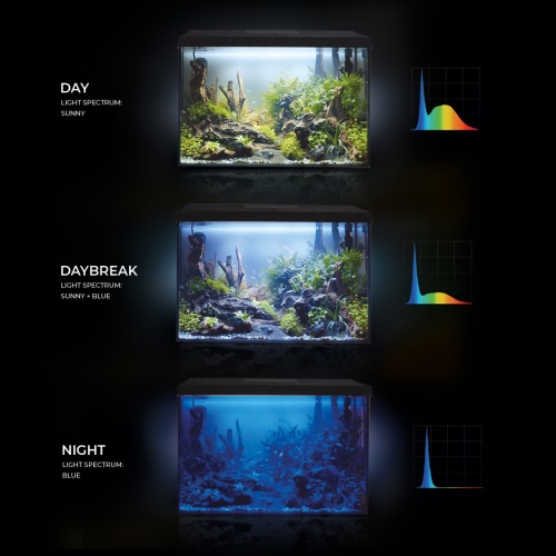 Детальная картинка Аквариум  AQUAEL LEDDY 60 XL DAY&NIGHT 2.0 черный (61х31х44.5 см) 72 л, с оборудованием фото 4